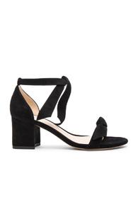 Alexandre Birman Suede Clarita Sandals In Black