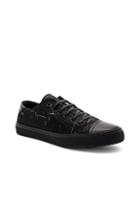 Saint Laurent Bedford Low Top Sneaker In Black
