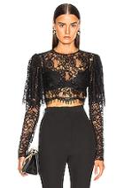 Rasario Lace Cropped Top In Black