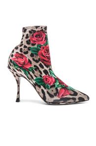 Dolce & Gabbana Leo Rose Print Sock Booties In Animal Print,brown,red,floral
