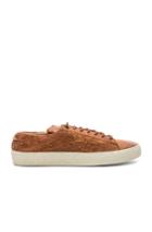 Saint Laurent Leather Court Classic Star Sneakers In Brown