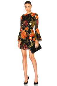 Haney Alisa Dress In Black,floral,red