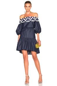Peter Pilotto Cotton Lace Pallas Dress In Blue
