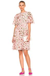 Valentino Daisy Print Crepe De Chine Mini Dress In Floral,pink