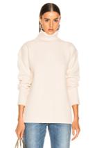 Sies Marjan Wolf Merino Turtleneck Sweater In Neutral