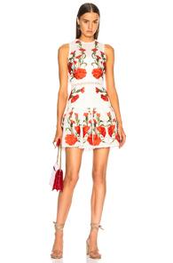 Alexis Sabella Dress In Floral,white