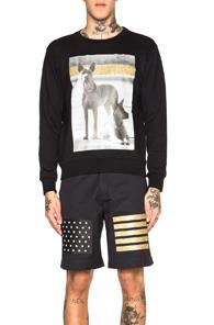 Palm Angels Dogs Crewneck Sweatshirt In Black