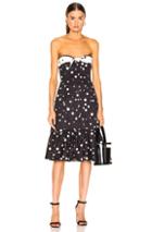 Miaou Norma Dress In Black,polka Dots