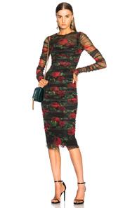 Dolce & Gabbana Rose Print Tulle Ruched Dress In Black,floral,red