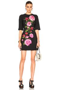 Dolce & Gabbana Cady Rose Print Mini Dress In Black,floral