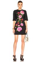 Dolce & Gabbana Cady Rose Print Mini Dress In Black,floral