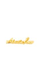 Martine Rose Tie Clip In Metallics