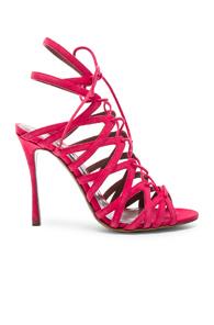 Tabitha Simmons Suede Lark Heels In Pink