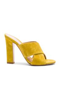 Gianvito Rossi Suede Mules In Yellow