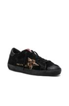 Golden Goose Suede Superstar Low Sneakers In Black
