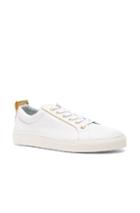Balmain Gold Piping Sneakers In White