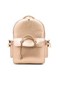 Buscemi Phd Backpack In Metallics