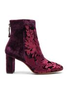 Alexandre Birman Velvet Regina Boots In Red,purple