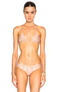 Tori Praver Swimwear Shanti Bikini Top In Brown,animal Print