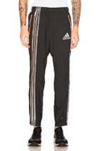 Kolor X Adidas Track Pants In Black