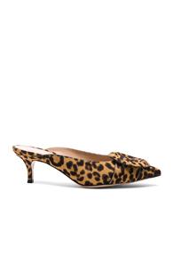 Gianvito Rossi Calf Hair Buckle Ruby Kitten Heel Mules In Brown,animal Print