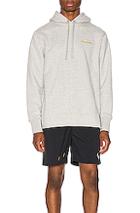 Aime Leon Dore Distressed Hoodie In Gray