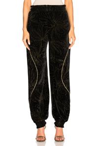 Chloe Gold Pigment Printed Velvet Sweatpants In Black,floral,metallics