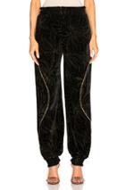 Chloe Gold Pigment Printed Velvet Sweatpants In Black,floral,metallics