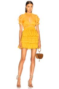 Self-portrait Embroidered Chiffon Tiered Mini Dress In Yellow