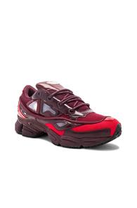 Adidas By Raf Simons Ozweego Iii In Purple