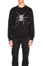 Lanvin Spider Embroidery Sweatshirt In Black