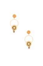 Dolce & Gabbana Flower Hoop Earrings In Metallics