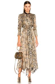 Petar Petrov Delhi Dress In Animal Print,brown,neutral
