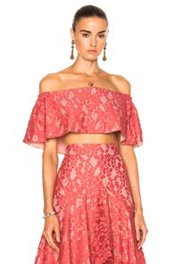 Alexis Taza Top In Pink,red
