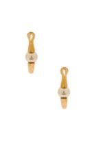 Chloe Darcey Round Pierced Small Hoop Earrings In Metallics