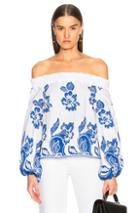Alexis Galiena Top In Multi