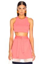 Flagpole Kate Crop Top In Pink