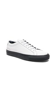 Common Projects Leather Achilles Low White & Navy