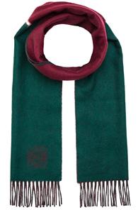 Loewe Window Scarf In Red,green