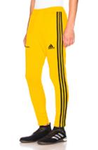 Gosha Rubchinskiy X Adidas Training Pant In Yellow