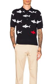 Thom Browne Shark Intarsia Polo In Abstract,blue