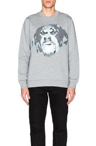 Givenchy Cuban Fit Rottweiler Sweatshirt In Gray