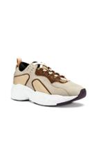 Acne Studios Rockaway Bios Sneakers In Brown,neutral