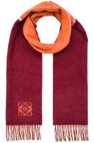 Loewe Window Scarf In Red,orange