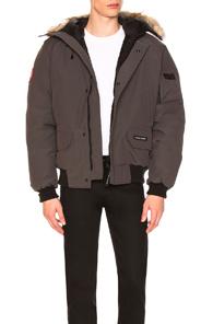 Canada Goose Chilliwack Bomber With Coyote Fur Trim In Gray