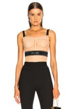 Dolce & Gabbana Tulle Corset Top In Pink