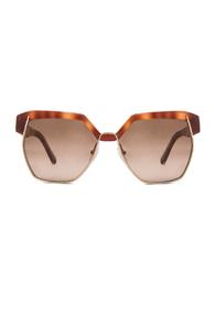 Chloe Dafne Sunglasses In Brown