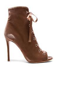 Gianvito Rossi For Fwrd Velvet Lace Up Booties In Pink