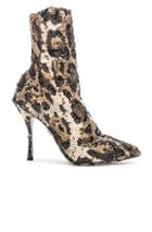 Dolce & Gabbana Leo Print Stretch Sequin Booties In Animal Print,brown
