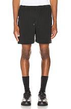 Issey Miyake Homme Plisse Pleats Shorts In Black